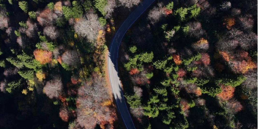 Zigana Dağı eteklerinde eşsiz bir adres! Doğa tutkunları buraya akın ediyor: Unutulmaz anlara hazır olun! 6